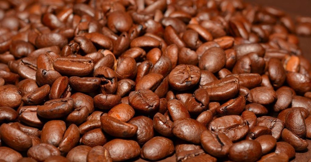 Overzicht van verschillende koffiebonen soorten: Arabica, Robusta, Liberica, Excelsa en Maragogipe met hun unieke kenmerken