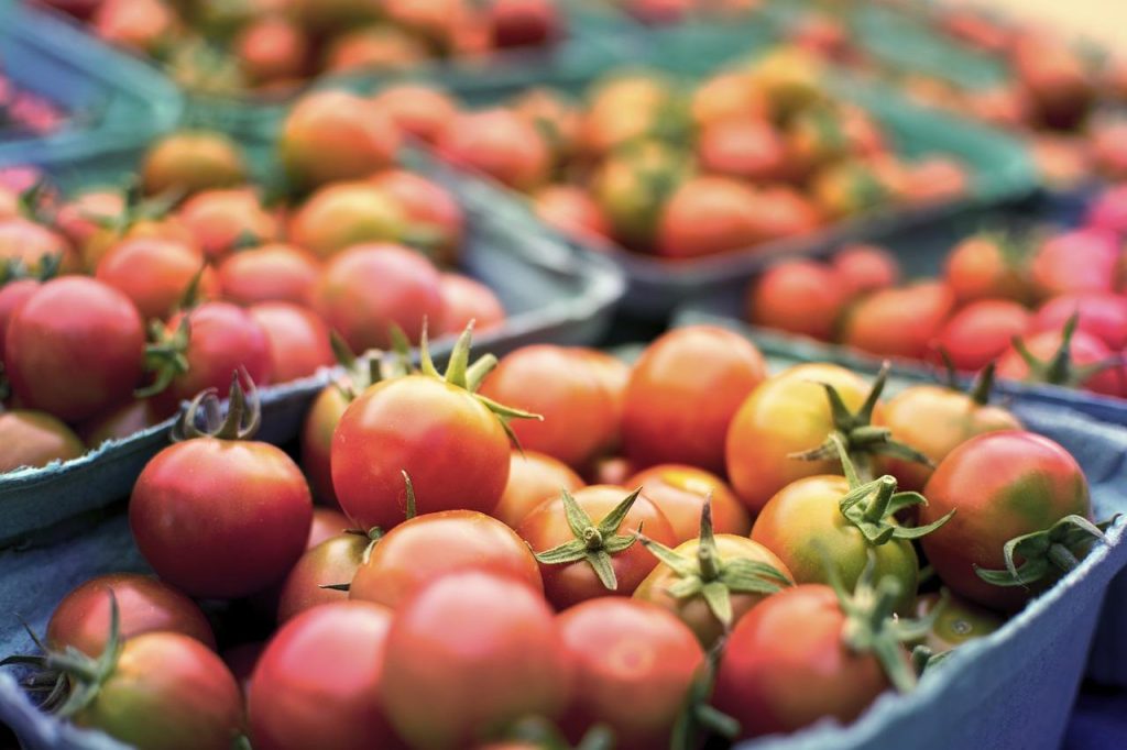 Biefit biologische winkel in het Westland met biologische producten en deskundig advies van specialisten