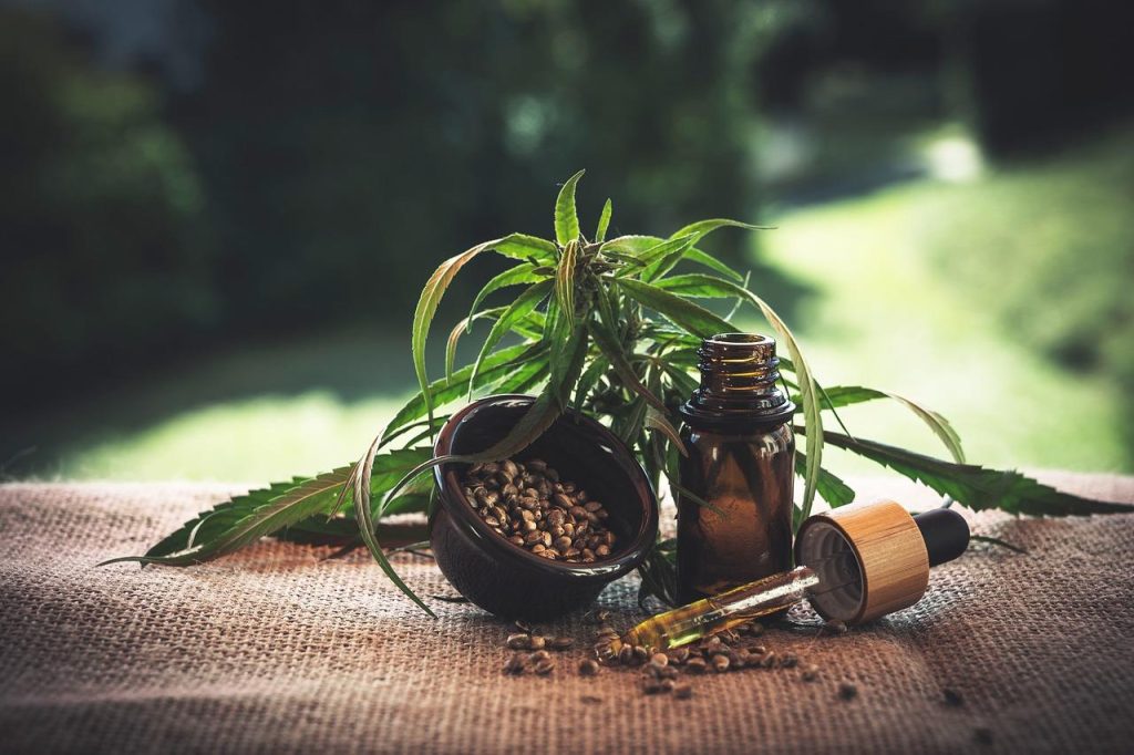 Vergelijking van full-spectrum versus pure CBD-olie met cannabinoïden en terpenen structuur
