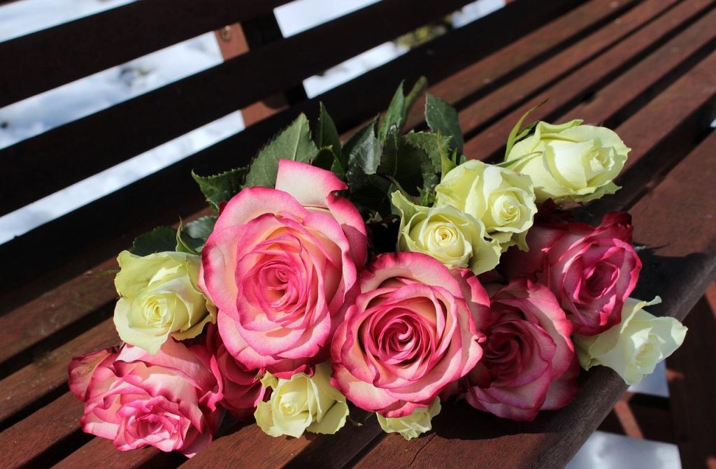 Mooie rozen als symbool van de kracht van bloemen in ons dagelijks leven, perfect voor cadeaus en speciale momenten