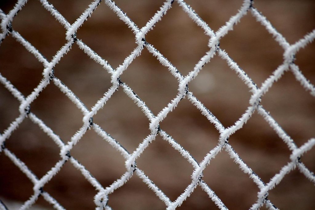 Praktische tactieken voor het optimaliseren van je tuin met netten en doeken tegen ongedierte en weersomstandigheden